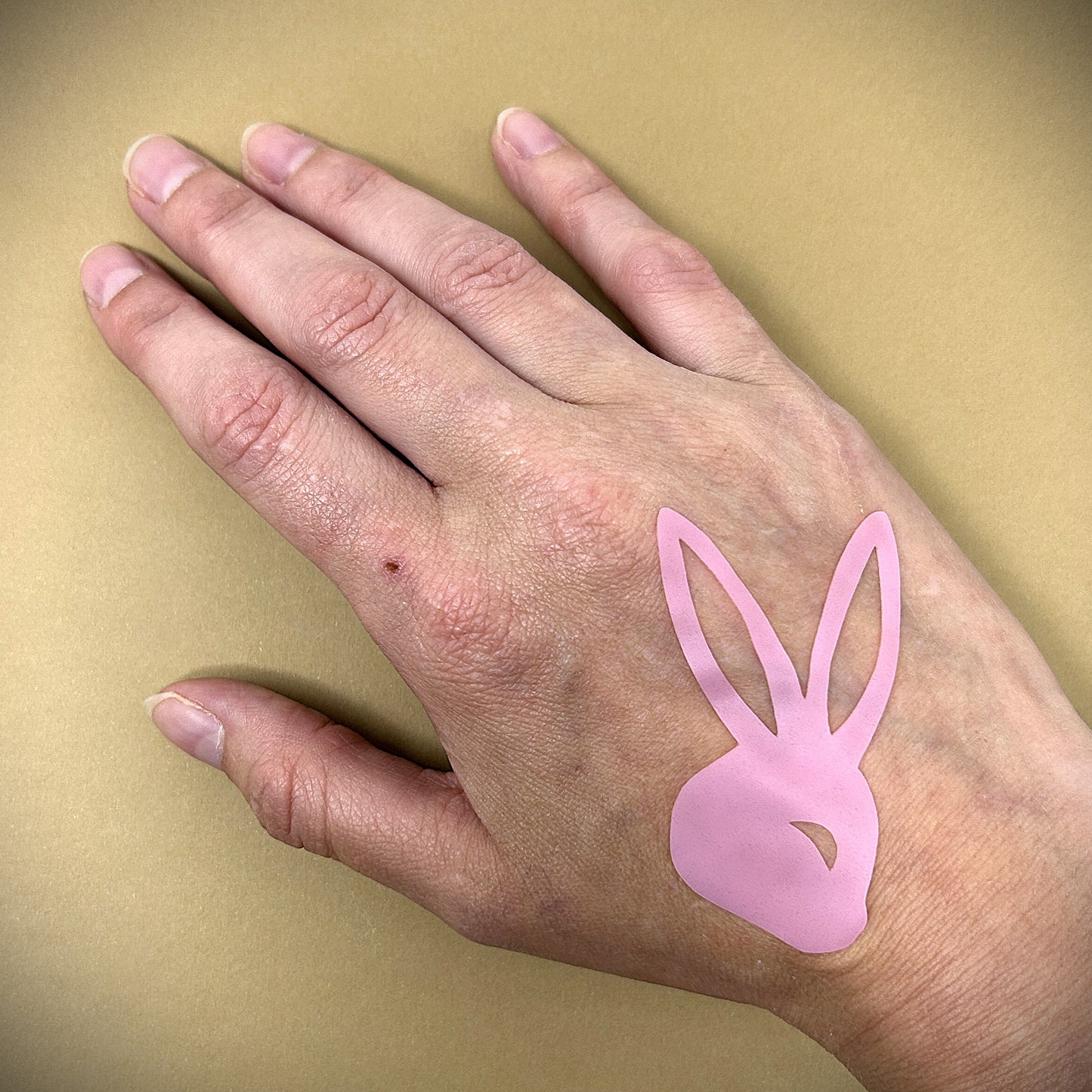 Tanning Sticker PlayBoy Bunny Cutout
