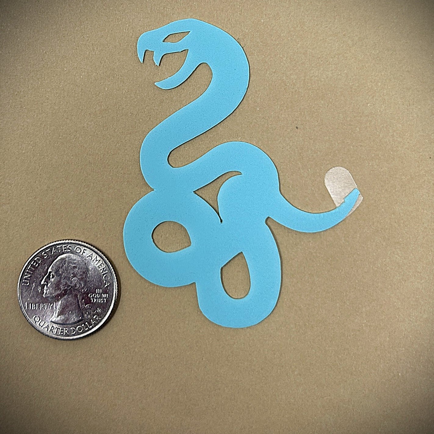 Tanning Sticker Snake Cutout