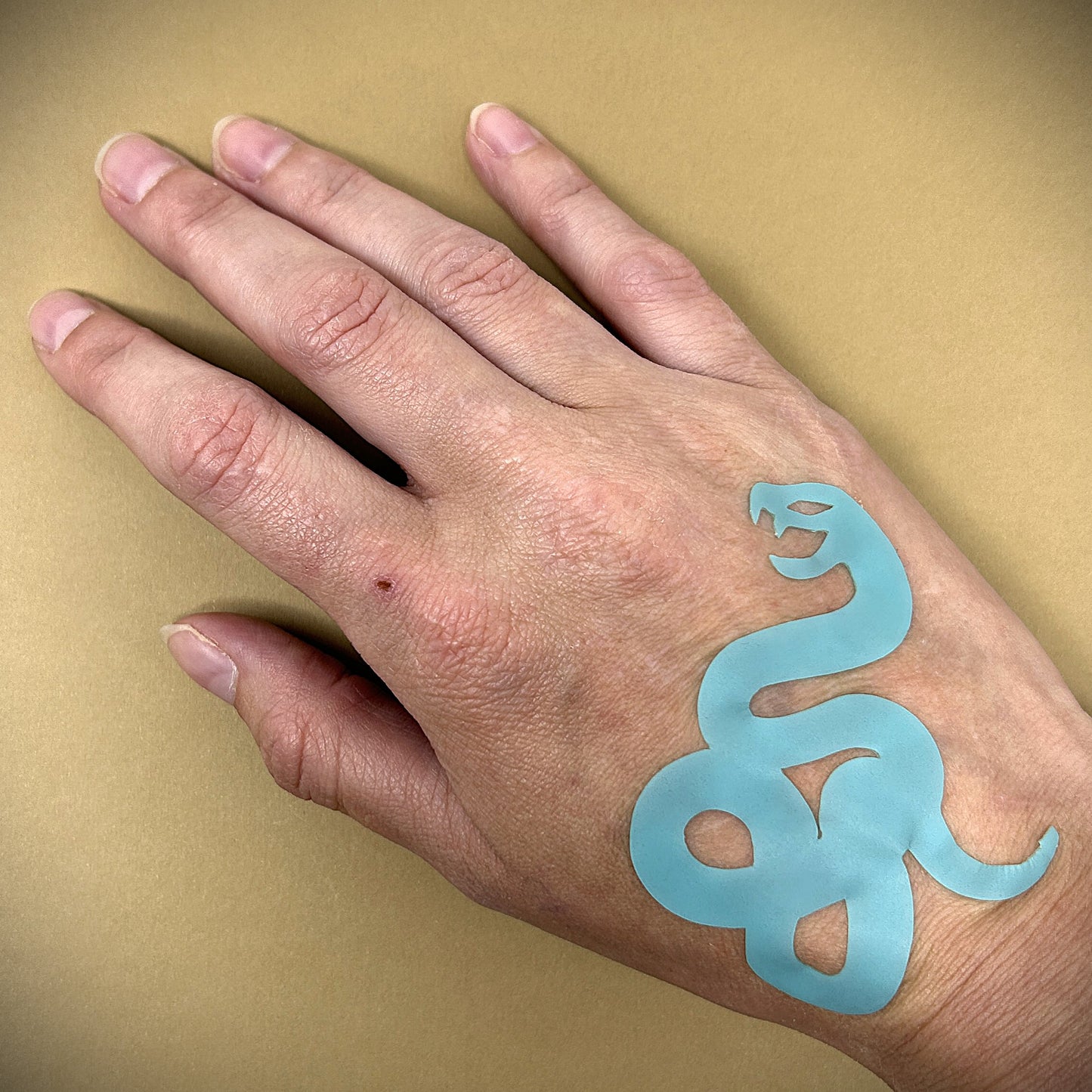 Tanning Sticker Snake Cutout
