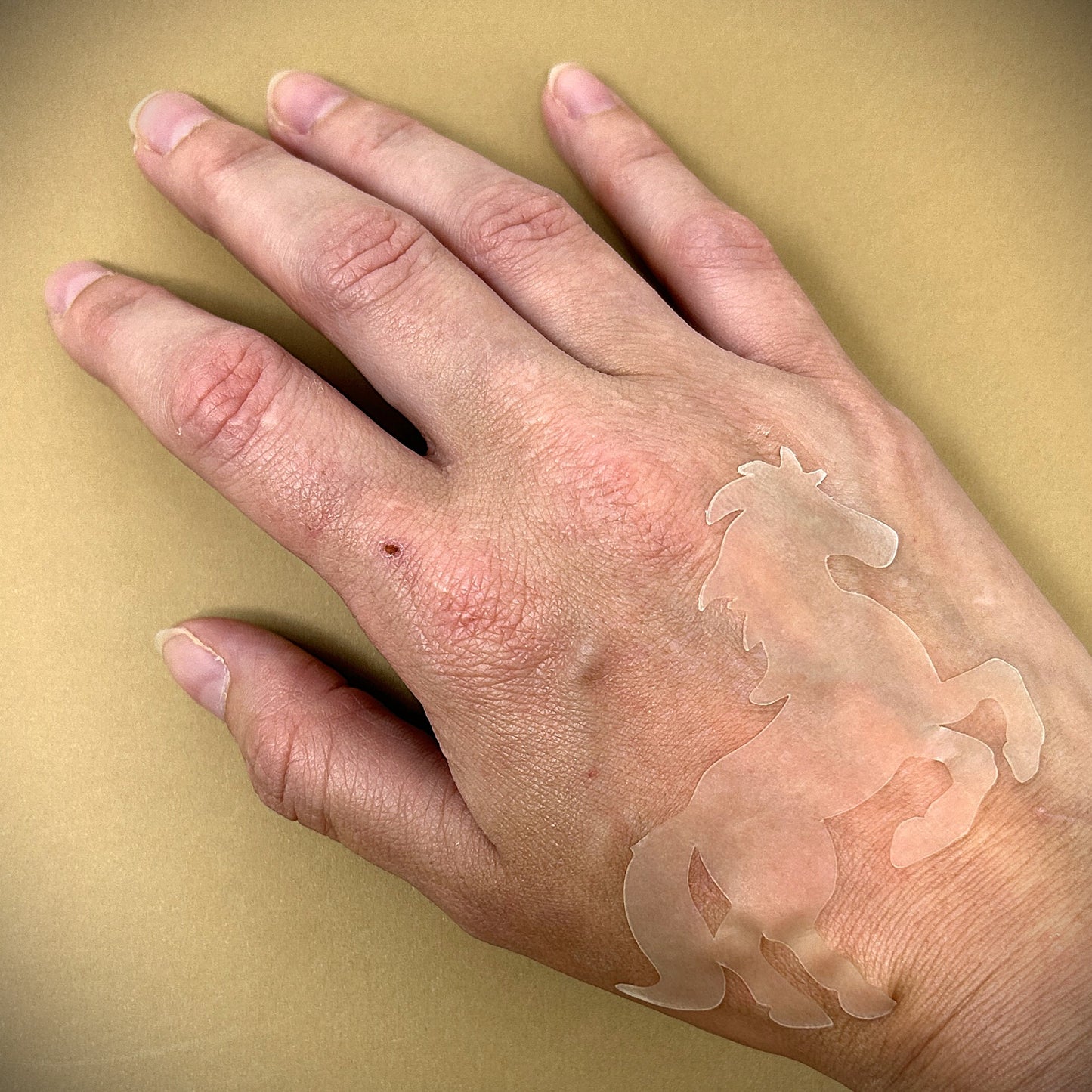 Tanning Sticker Horse Cutout