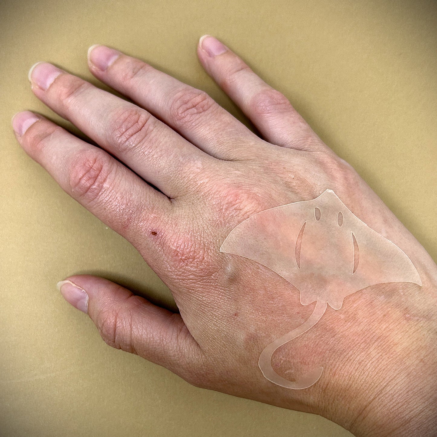 Tanning Sticker Manta Ray Cutout