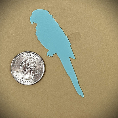 Tanning Sticker Parrot Cutout